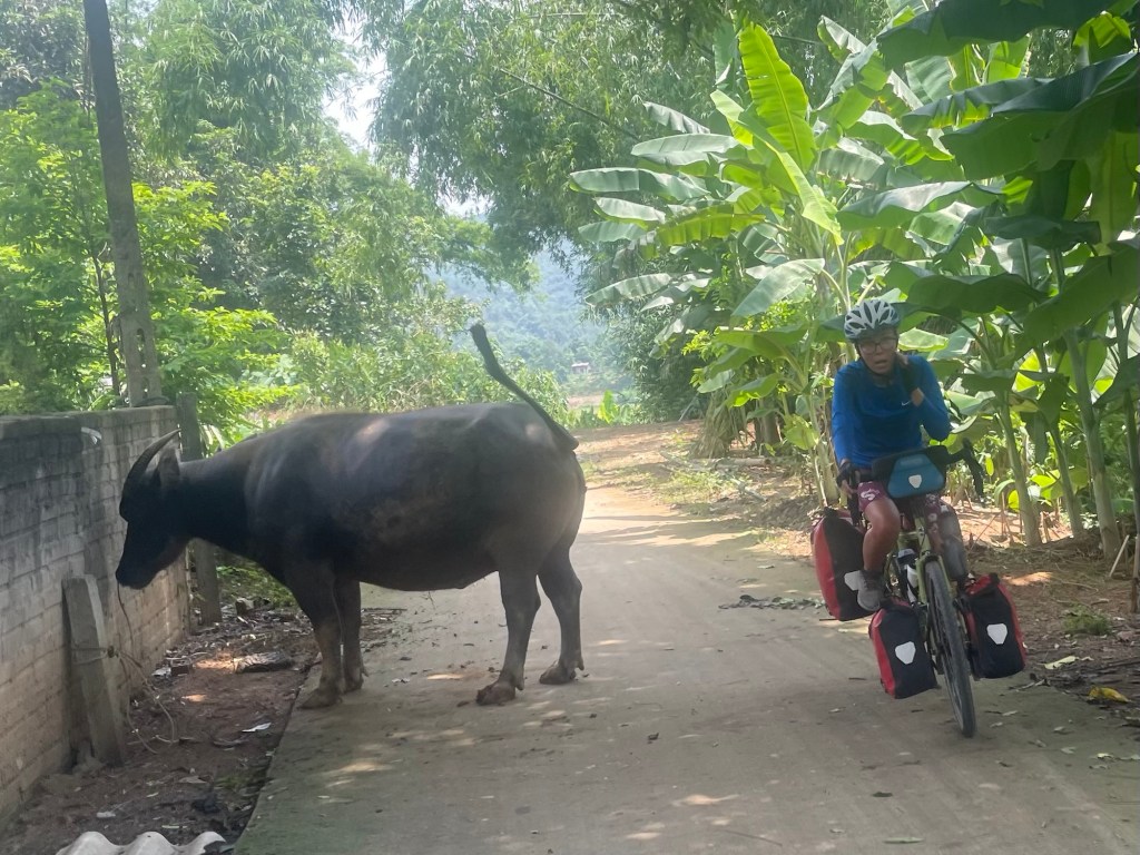Van Yen to Bảo&nbsp;Hà